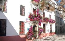 Imagen general del Hostal El Castillo, Marbella. Foto 12