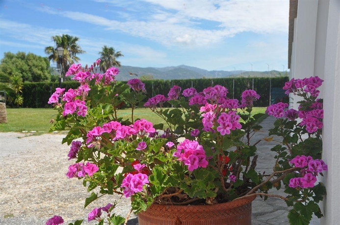 Imagen general del Hostal El Levante. Foto 4