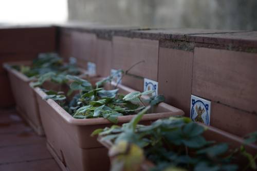 Imagen de los interiores del Hostal El Patio, Arcos de la Frontera. Foto 10