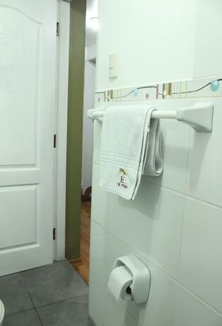 Imagen general del Hostal El Puma, Santiago. Foto 9