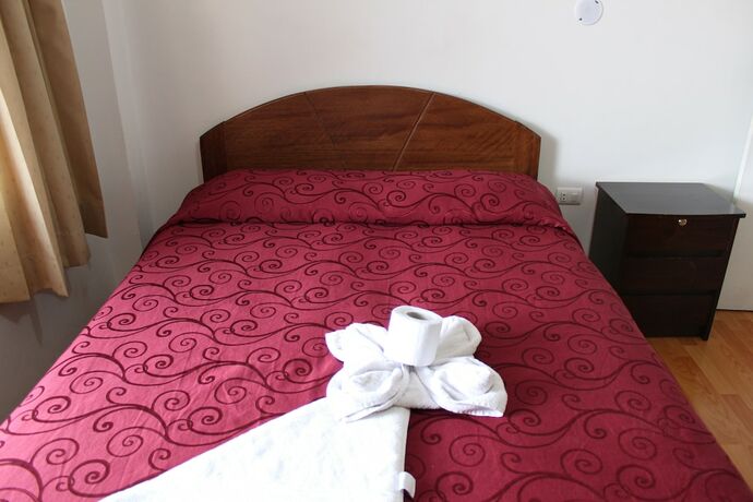 Imagen general del Hostal El Puma, Santiago. Foto 17