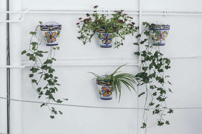 Imagen de los interiores del Hostal El Riad Andaluz. Foto 13