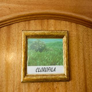 Imagen general del Hostal Ericeira Chill Hill 3 - Sea Food. Foto 63