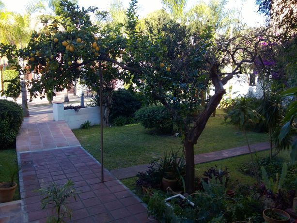 Imagen de los exteriores del Hostal Escandinavia. Foto 10