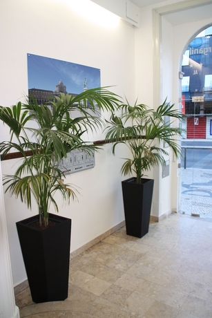 Imagen de los interiores del Hostal Estrela De Arganil. Foto 16