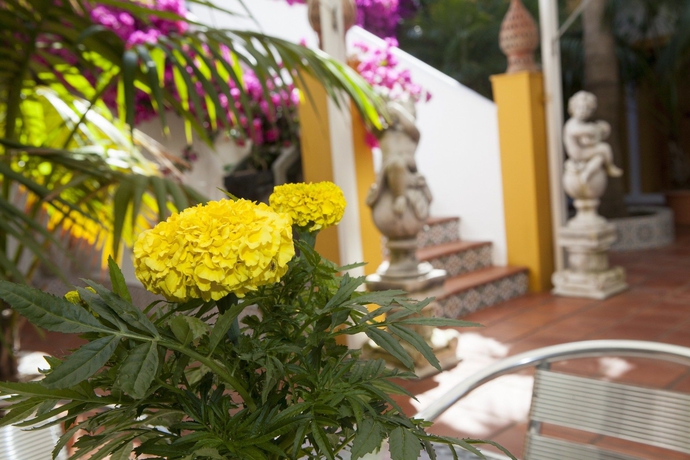 Imagen de los exteriores del Hostal Fortuna, Los Caños de Meca. Foto 12