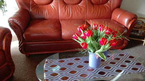 Imagen general del Hostal Gabriel, Maardu. Foto 2