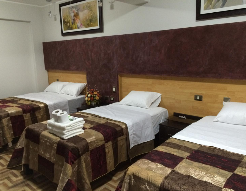 Imagen general del Hostal Gold Star, Tacna. Foto 24