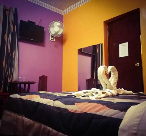 Imagen general del Hostal Gq. Foto 7