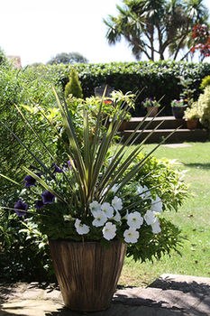 Imagen de los interiores del Hostal Gyllyngvase House. Foto 12