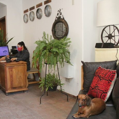 Imagen general del Hostal Hotel Boutique La Cochinilla. Foto 6