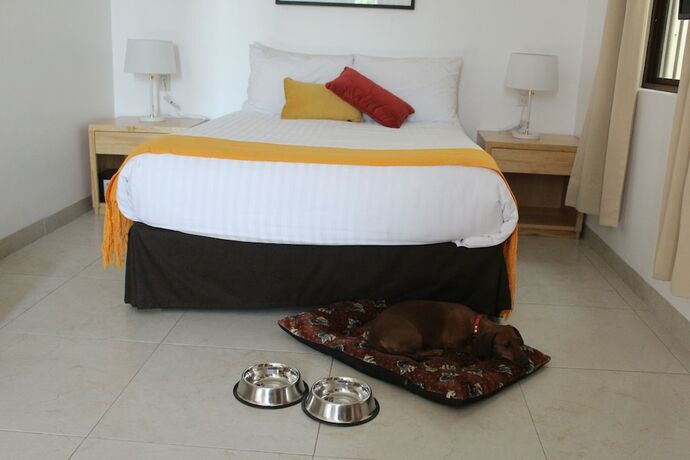 Imagen de la habitación del Hostal Hotel Boutique La Cochinilla. Foto 28