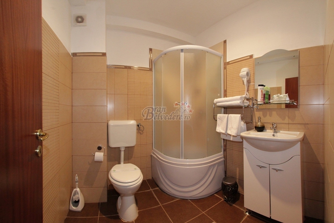Imagen de la habitación del Hostal Hotel Bran Belvedere. Foto 6
