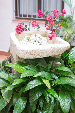 Imagen de los interiores del Hostal Hotel La Posada. Foto 13