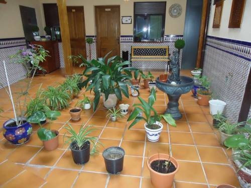Imagen de la habitación del Hostal Infantes. Foto 7
