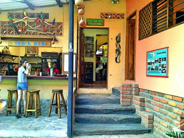 Imagen de la piscina del Hostal La Casa De Felipe. Foto 16