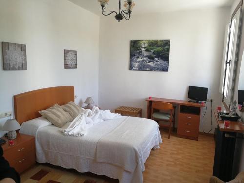 Imagen de la habitación del Hostal La Casilla. Foto 7