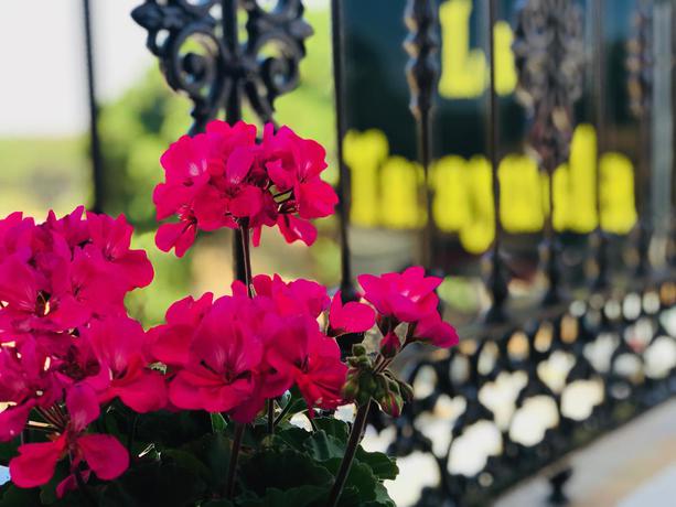 Imagen general del Hostal La Tarayuela. Foto 12