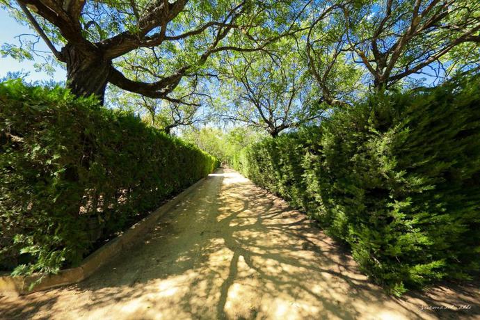 Imagen de los exteriores del Hostal Lantana Garden. Foto 7