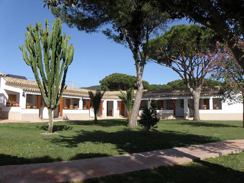 Imagen de los exteriores del Hostal Las Acacias, Los Ca&ntilde;os de Meca. Foto 16