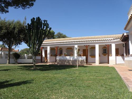 Imagen de los exteriores del Hostal Las Acacias, Los Ca&ntilde;os de Meca. Foto 18