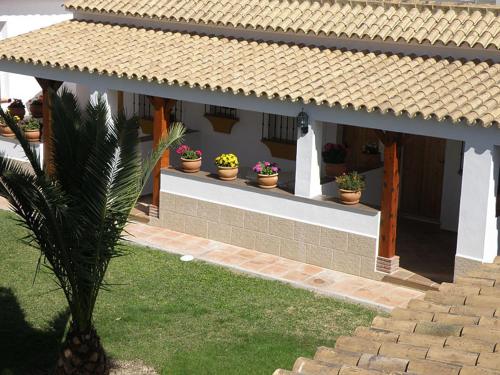 Imagen de los exteriores del Hostal Las Acacias, Los Ca&ntilde;os de Meca. Foto 25