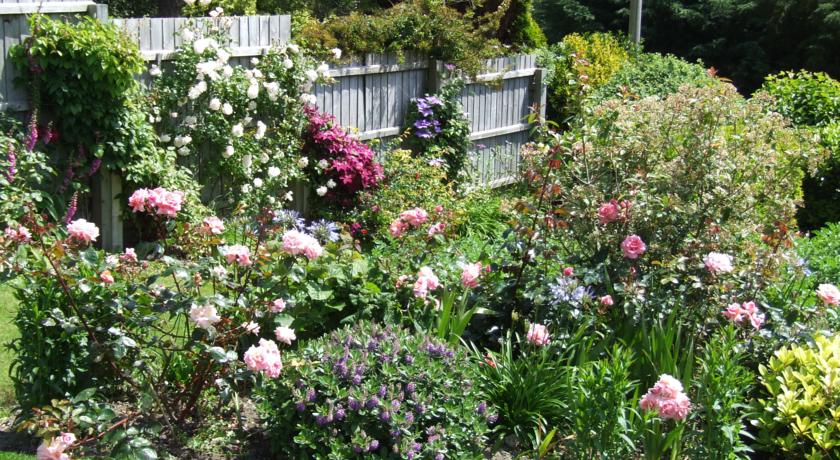 Imagen general del Hostal Little Rannoch. Foto 8