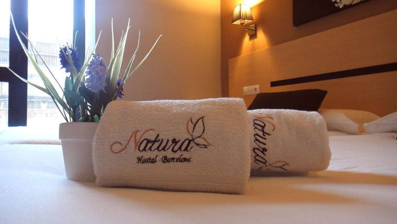 Imagen de la habitación del Hostal Live Natura Barcelona. Foto 7