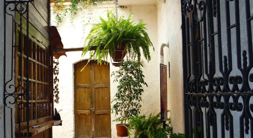 Imagen de los interiores del Hostal Lluvia De Oro. Foto 10