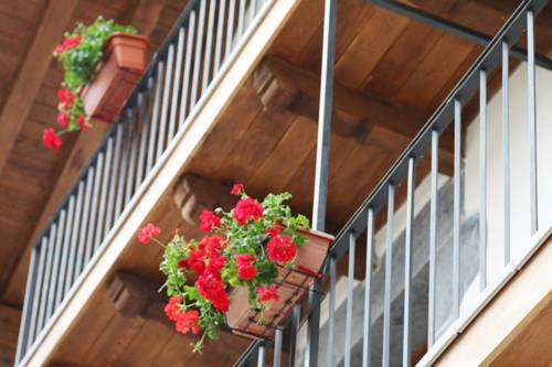 Imagen de los exteriores del Hostal Lopenea. Foto 13