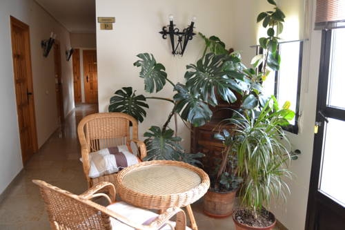 Imagen general del Hostal Los Claveles. Foto 7