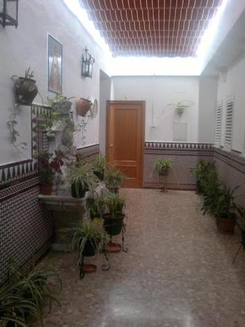 Imagen de los interiores del Hostal Los Dos Naranjos. Foto 19