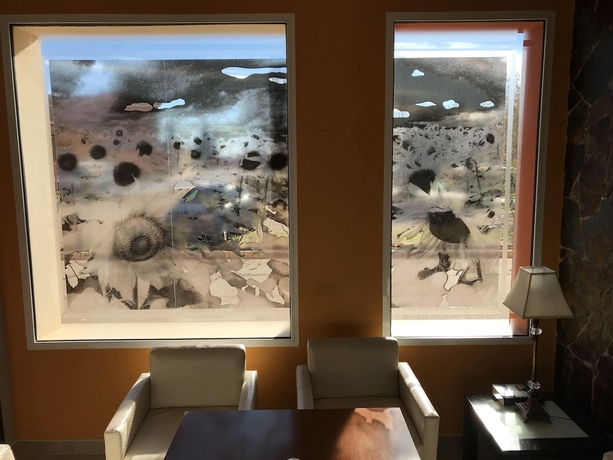 Imagen de los interiores del Hostal Los Girasoles, INIESTA. Foto 19