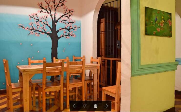 Imagen general del Hostal Lulos Hostal Boutique. Foto 9