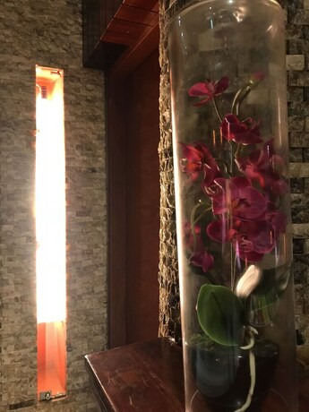 Imagen de los interiores del Hostal Manantial, Lima Metropolitana. Foto 36