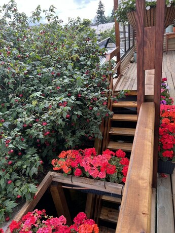 Imagen de la habitación del Hostal Mi Segundo Hogar. Foto 19