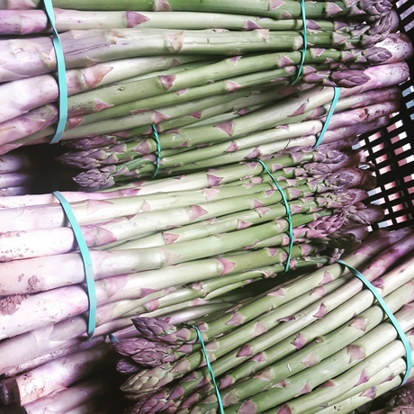 Imagen del bar/restaurante del Hostal Miguel De Cervantes. Foto 7