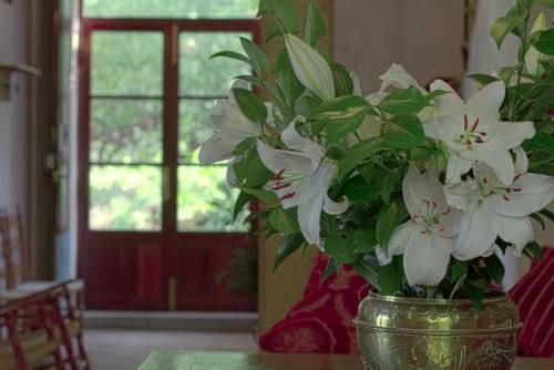 Imagen general del Hostal Miramar, Deya. Foto 6