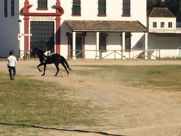 Imagen de los exteriores del Hostal OYO El Rocío Azul. Foto 6
