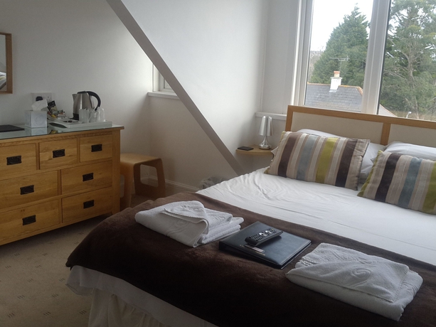 Imagen de la habitación del Hostal Oasis House. Foto 5