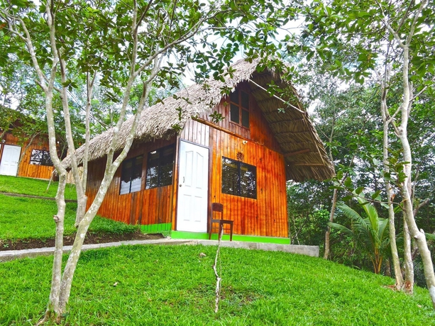 Imagen de la habitación del Hostal Oasis The Traveler. Foto 4