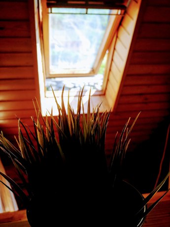 Imagen de la habitación del Hostal Ostería Roc'n'Cris Homebrew. Foto 14