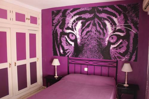 Imagen de la habitación del Hostal Plaza San Pedro. Foto 6