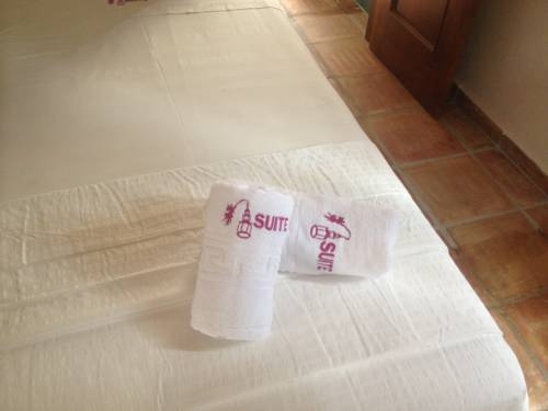 Imagen general del Hostal Plaza Santa Cruz. Foto 12