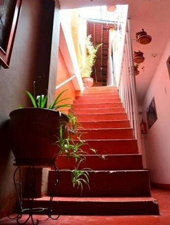 Imagen de los interiores del Hostal Porta Cusco. Foto 39