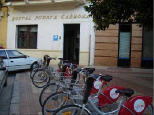 Imagen general del Hostal Puerta Carmona. Foto 12