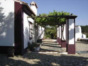 Imagen de los exteriores del Hostal Quinta da Dourada. Foto 8