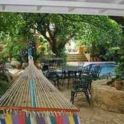 Imagen general del Hostal REAL LOS ROBLES. Foto 4