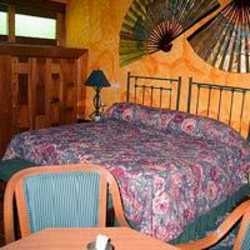 Imagen general del Hostal REAL LOS ROBLES. Foto 5