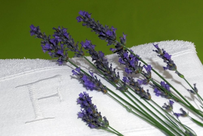 Imagen de los exteriores del Hostal Residencial Ferrinho. Foto 17